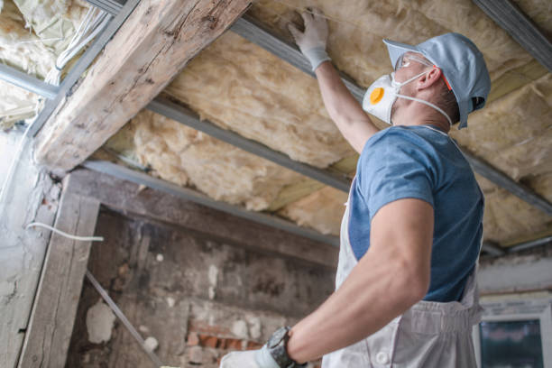 Best Cellulose Insulation in Konterra, MD