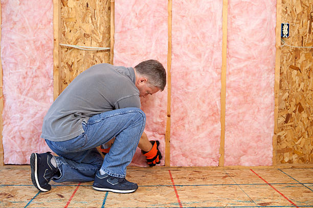 Best DIY Insulation Kits and Guidance in Konterra, MD